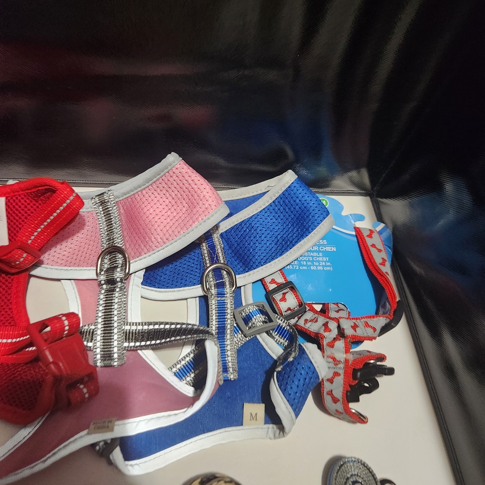 Assorted Pet Harness and Leash Set Bundle - Picture 7 of 7